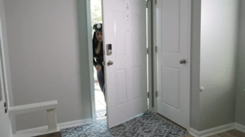 Cop Wanders into the Wrong Place 4K.webp
