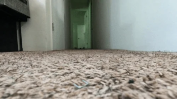 Teenie Watches Giantess Walking around in her Sexy Heels POV 1080 smaller.webp