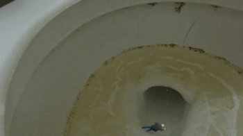 Teenie Swims in a giantesses Huge Nasty Toilet 1080 smaller.webp