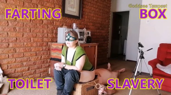Farting Female Domination 9 - Facefarts, Fart, Farting, Ass Worship, Face Sitting, Female Domination, Ass Eating 720p.webp