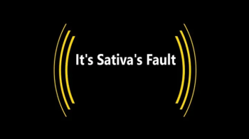 It's Sativa's Fault (Small).webp