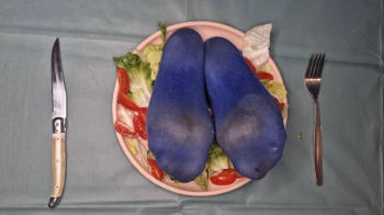 Tickle salad on little stinking socks! Bon appétit!.webp