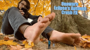 Unaware Eclipse's Autumn Crush FX - HD 1080p Version.webp