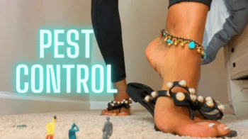 Pest Control.webp