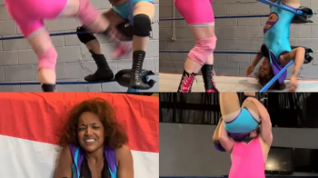 Mixed wrestling match includes low blows.webp