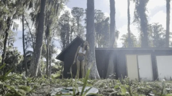 Just An Ant In The Dirt 4K.webp