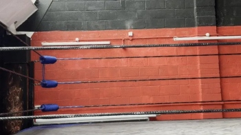 Stinkface, sparring and grappling.webp