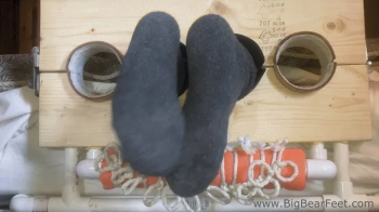 Itching Feet IV - itching powder, thick socks, hitop, bare feet, scratching.webp