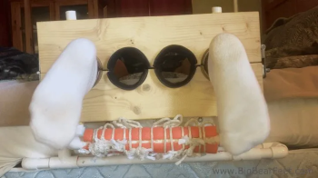 Punish The Feet 2025 - itching powder and tickling.webp