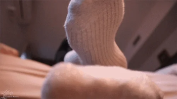 Foot Worshipper rewarded by becoming her FOOD.webp