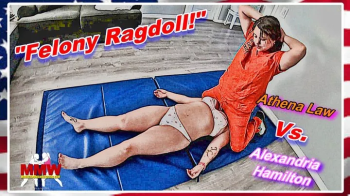 Felony Ragdoll!.webp