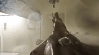 Tiny human Joe Takes a Shower with his Giantess Wife POV 1080 smaller.webp