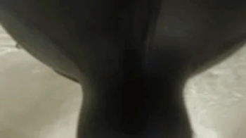 Stinky Feet -wmv.webp