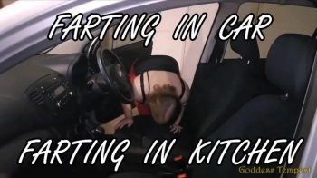 Extreme Fart Scenes 19 - Facefarts, Fart, Farting, Riding In Car, Face Sitting, Ass Worship, Female Domination, Ass Eati.webp