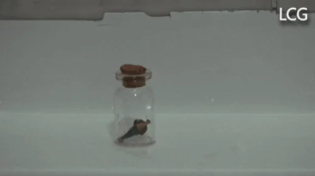 Catalina And Karin Kiss In Jacuzzi With Genie In Bottle.webp