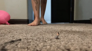 A tiny infestation.webp