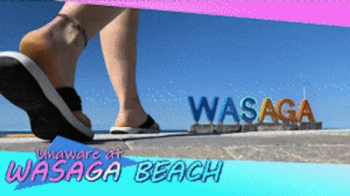 Unaware At Wasaga Beach - HD 1080p Version.webp