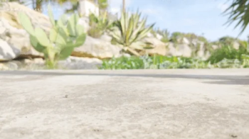 Giantess and tiny in a clear bag 4K.webp