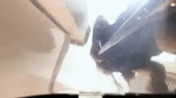 Tiny Human vs Giantess Broom 1080 smaller.webp