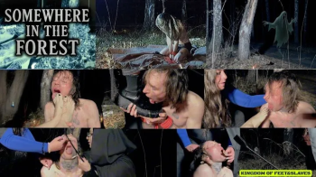 somewhere in the forest (Full HD MP4 ).webp
