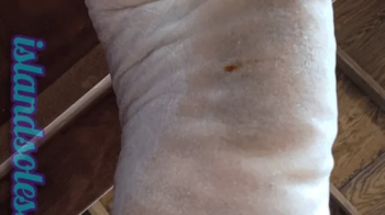 NEVER TOUCH MY FOOD AGAIN BY MEGAN BIG BUTT AND SABRINA GREEN CAM BY DANI FULL HD.webp
