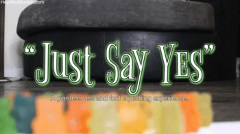Just Say Yes.webp