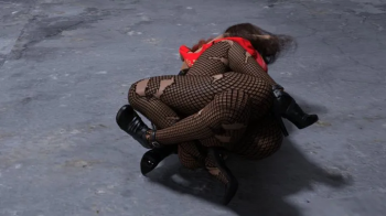 Parking Lot CatFight part 1 mv.webp