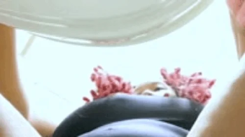 Teenie runs around Bathroom Floor as Giantess Cleans Toilet POV 1080 smaller.webp