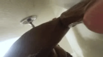Tiny Human in Shower with Giantess POV 1080 smaller.webp