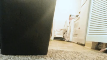 Tiny human running through Giantess Home POV 1080.webp