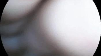 Hand Exploration.webp