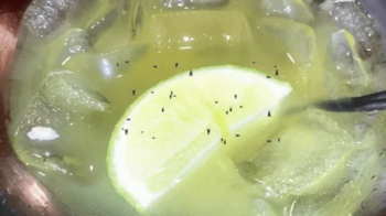 Tiny Humans Swim in Giantess Drink 4k.webp