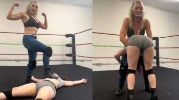 Piledrivers, pedigrees, tombstone and stalling suplexs.webp