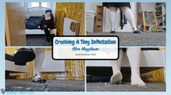 Crushing A Tiny Infestation - Solo Girl.webp
