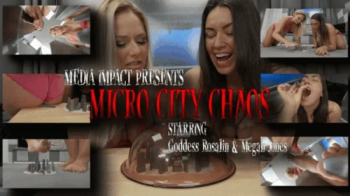 Micro City Chaos.webp