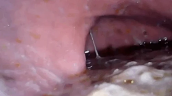 Lots of sushi and exploration Microcamera - Extreme Vore video 720HD.webp