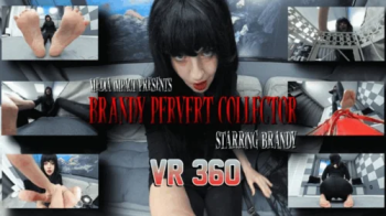 Brandy Pervert Collector VR 360.webp