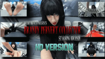 Brandy Pervert Collector HD.webp