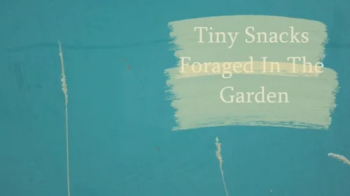 Tiny snacks foraged in the garden.webp