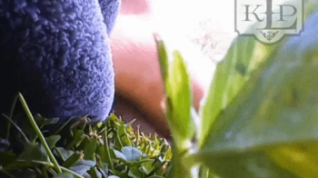 Micro Peasant's Outdoor Adventure.webp