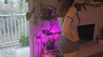 Giantess Teasing and Butt Crush.webp