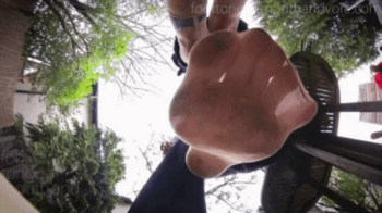 A Bugman's Nylon Foot Odyssey.webp