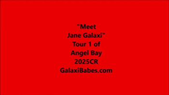 Jane's AI Bots at Second Life mp4.webp