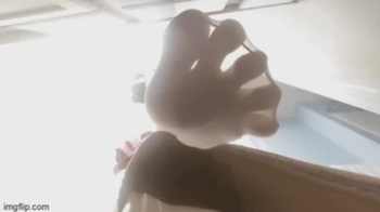 View from LilMizzUnique's shoe VR4K.webp