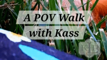 A POV Walk With Kass.webp
