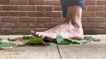 Giantess crushes leaves.webp