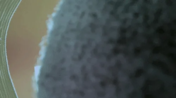 Teenie in Giantess Laundry Basket POV 4k.webp