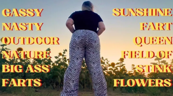 Sunshine Fart Queen - Field of Stink Flowers.webp