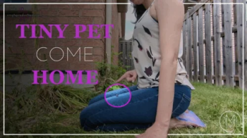 A Pet Returns.webp