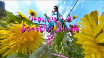 Unaware In A Dandelion Jungle EXTREME POV 3 - HD 1080p Version - Barefoot And Stepping On Dandelions While Unaware Of Th.webp